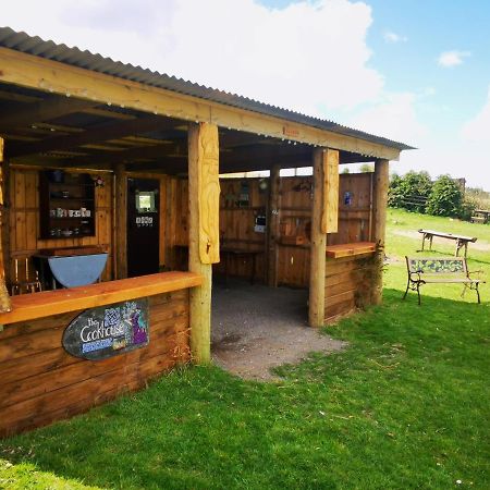 Bluebell Off-Grid Van ニュートン・スチュワート エクステリア 写真